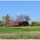 99 4652 mit einem Güterzug bei Lindenberg