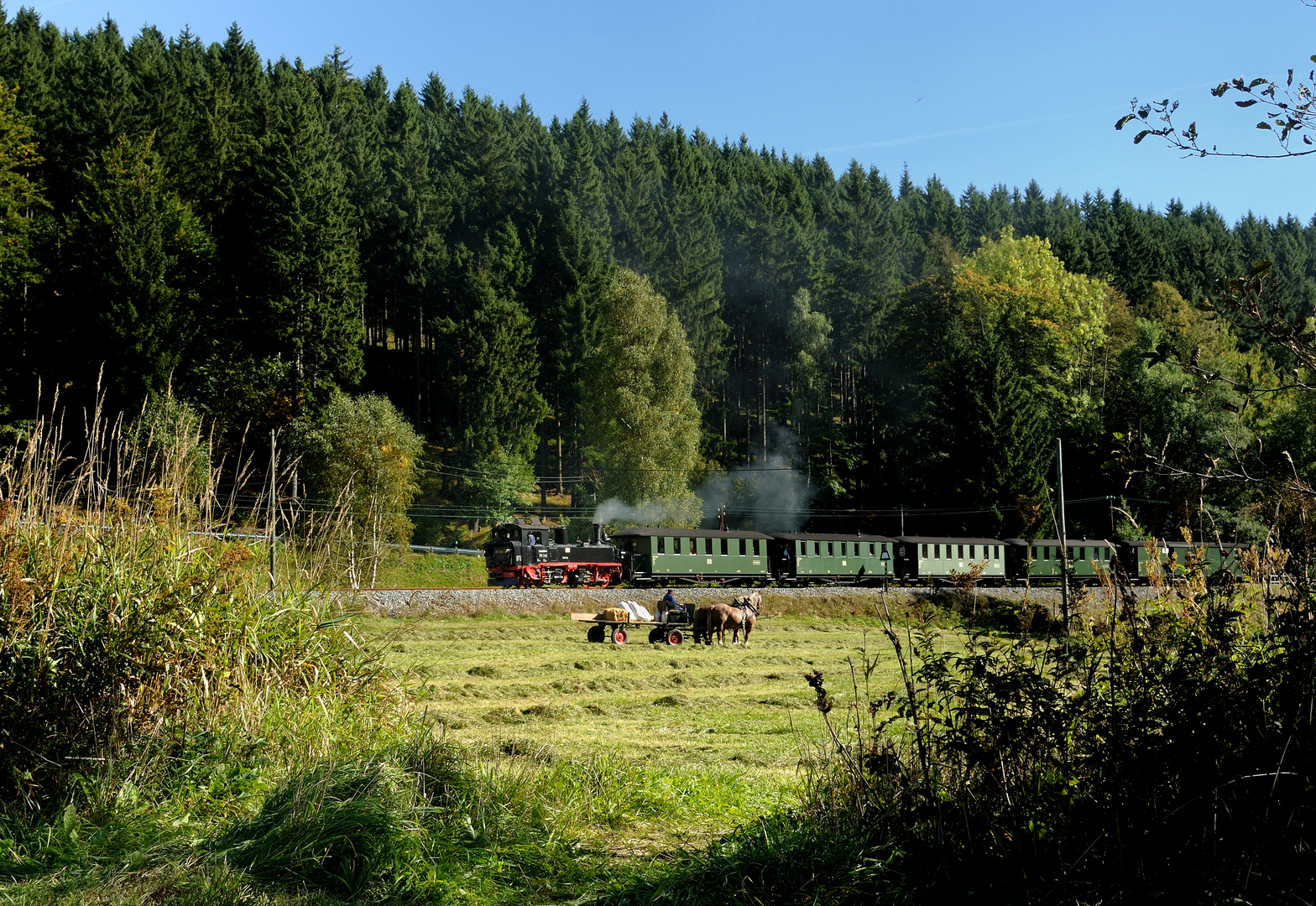 99 542 beim Hp Forellenhof