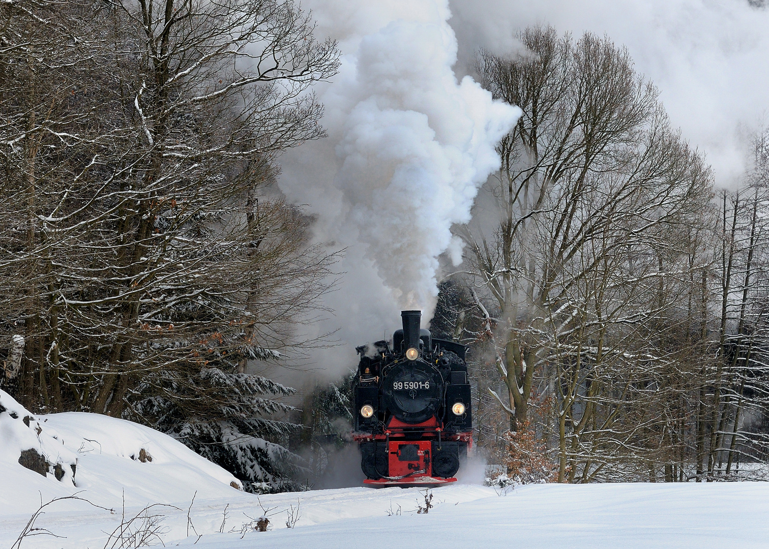 99 5901-6 Reichsbahnzug im Selketal