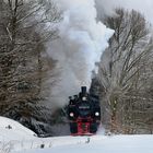 99 5901-6 Reichsbahnzug im Selketal