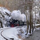 99 5901 im frostigen Selketal