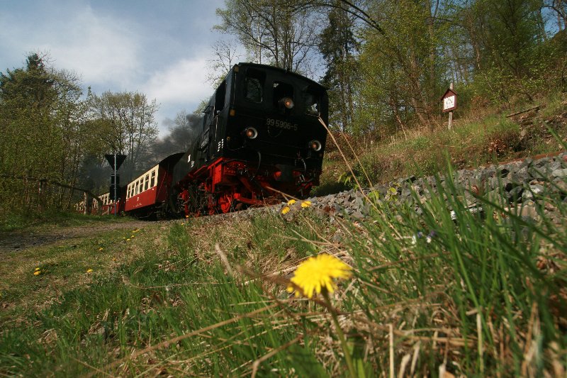 99 5906 Frühlingserwachen am Bahndamm 26.04.09