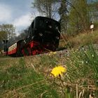 99 5906 Frühlingserwachen am Bahndamm 26.04.09