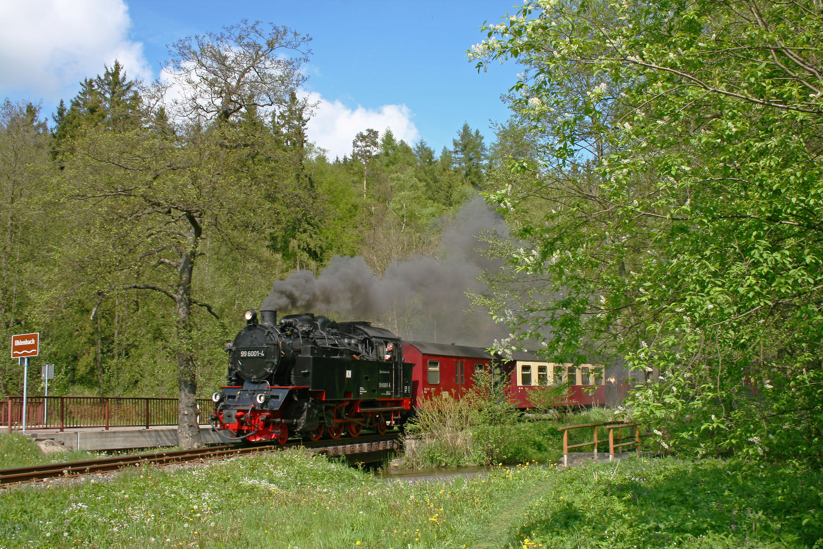 99 6001 fährt durch den Frühling