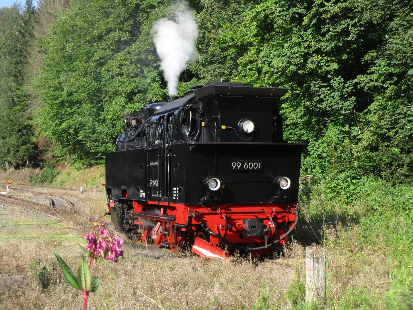 99 6001 in Eisfelder Talmühle 1.