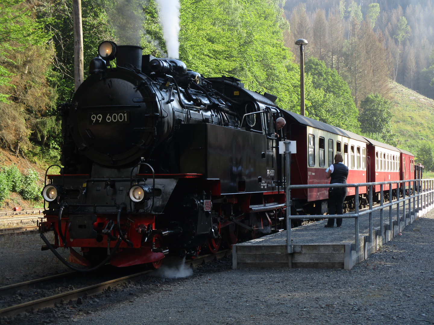 99 6001 in Eisfelder Talmühle 2.