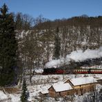 99 6001 Sonntag Mittag bei den Drahtziehern im Selketal