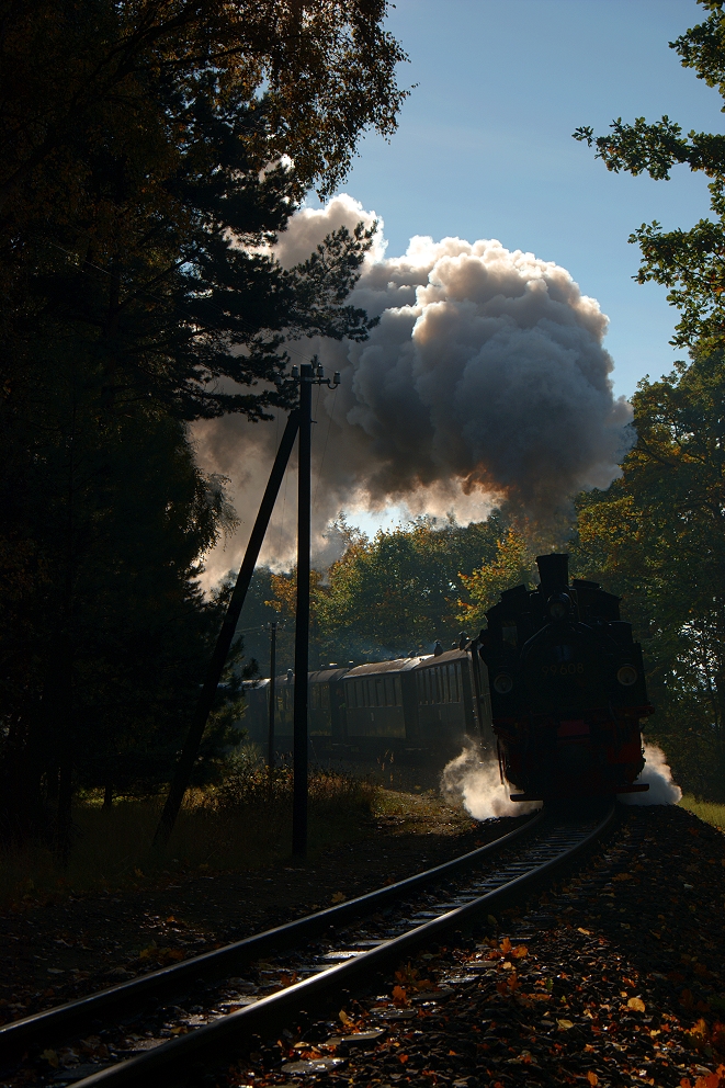 99 608 auf dem Weg nach Putbus