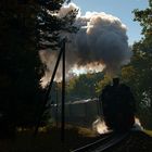 99 608 auf dem Weg nach Putbus