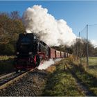 99 7232-4 mit Zug 3931 (03.11.2017) #1