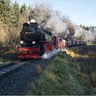 99 7232-4 mit Zug 3931 (03.11.2017) #3