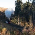 99 7232-4 mit Zug 3931 (03.11.2017) #4