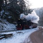 99 7237-3 mit 8961 (08.02.2018) #1