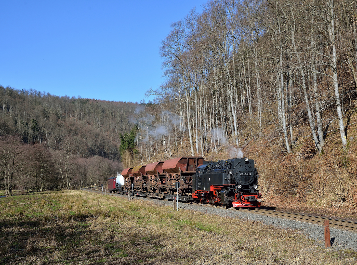 99 7239-9 am 26.02.22 mit einem Fotogüterzug bei Netzkater