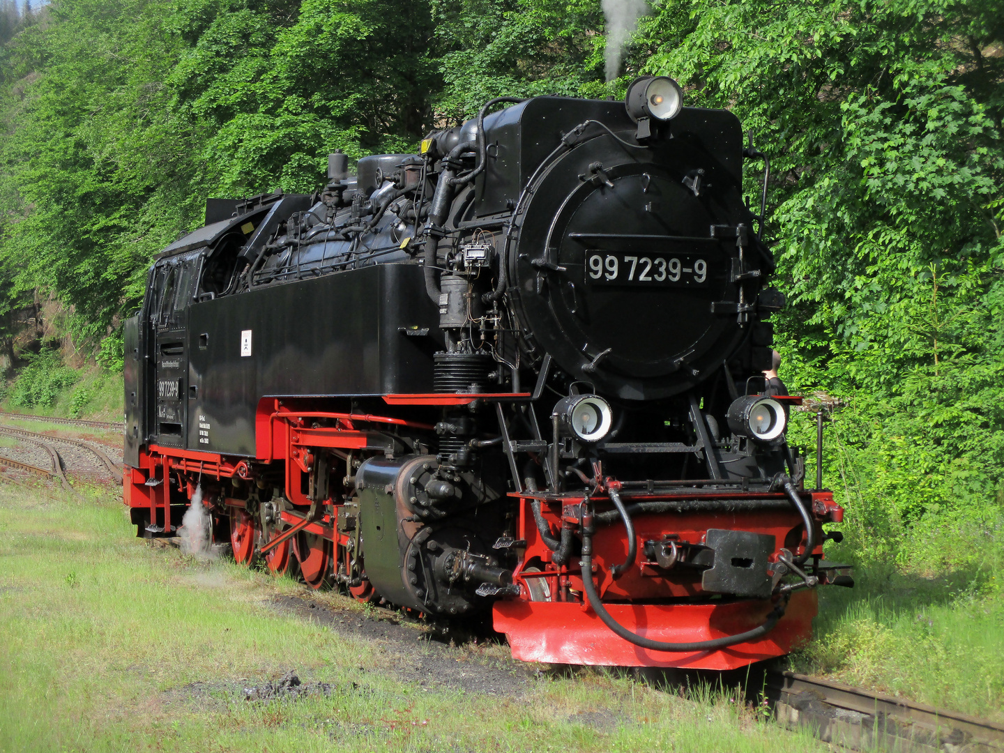 99 7239-9 in Eisfelder Talmühle.