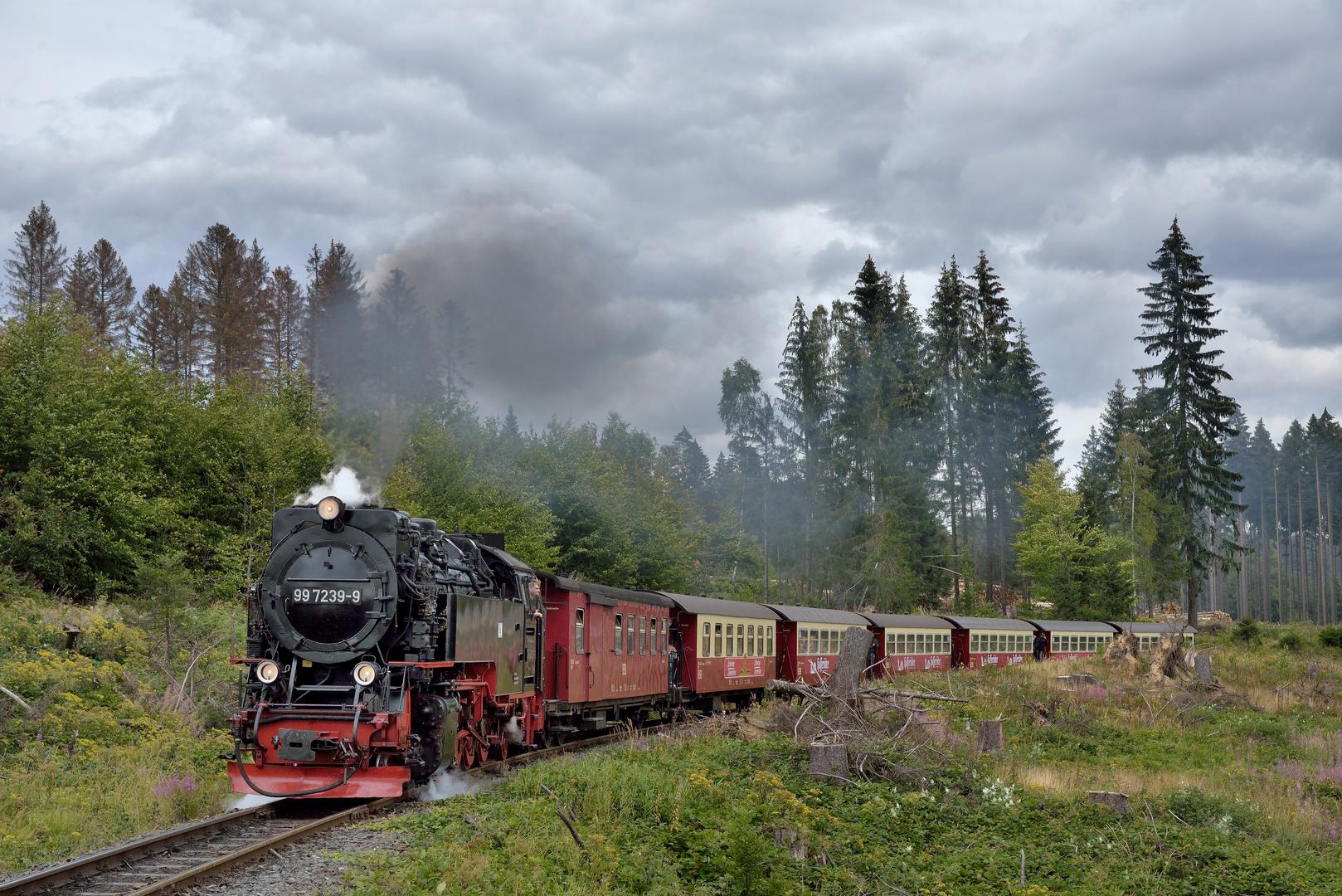 99 7239-9 kurz hinter Drei Annen Hohne auf dem Weg nach Schierke