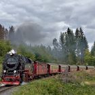 99 7239-9 kurz hinter Drei Annen Hohne auf dem Weg nach Schierke