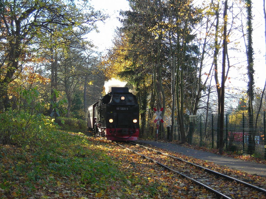 99 7239 in Wernigerode