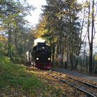 99 7239 in Wernigerode