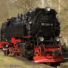 99 7241-5 in Eisfelder Talmühle.