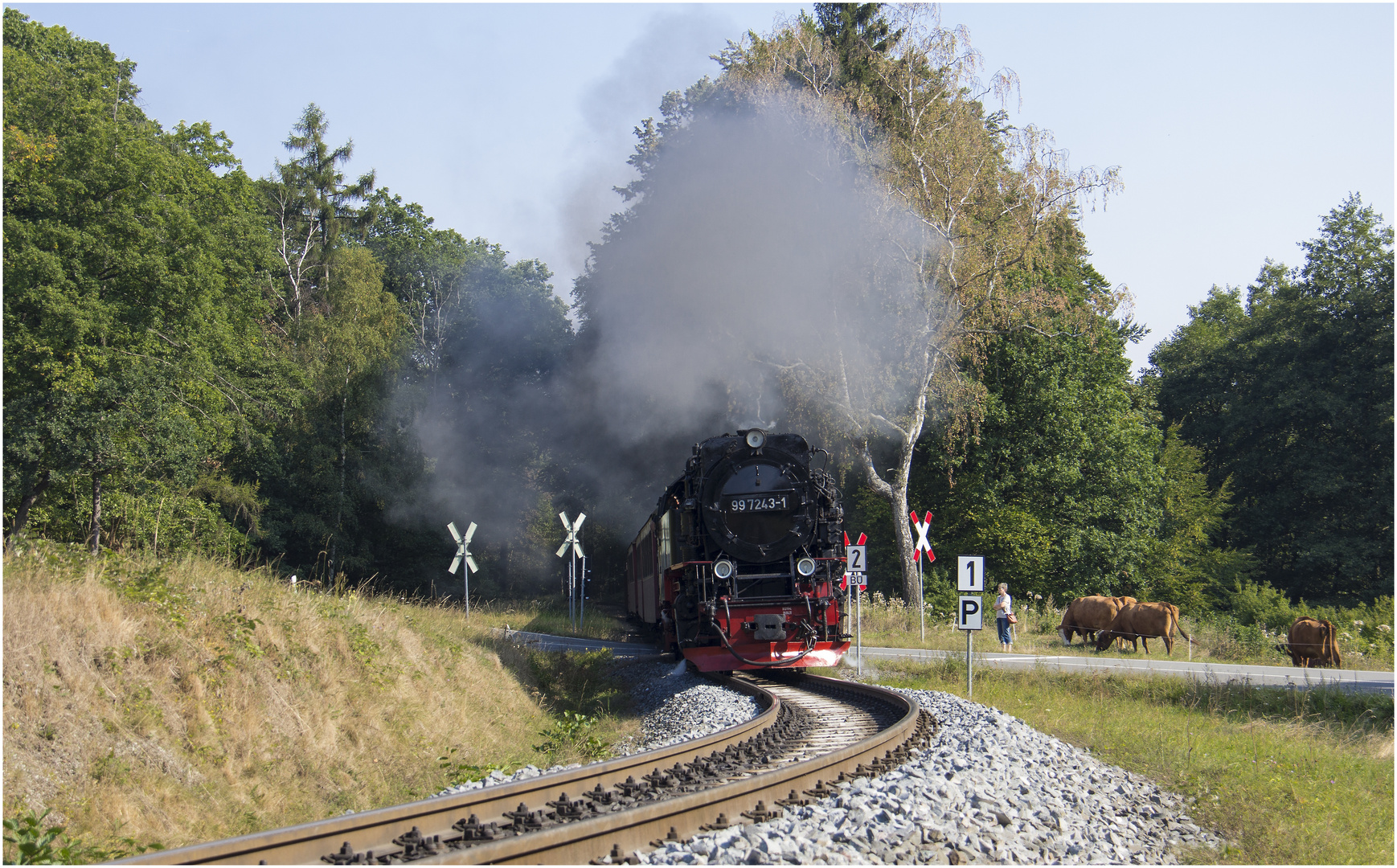 99 7243-1 Sternhaus Haferfeld (14.09.2016) #1