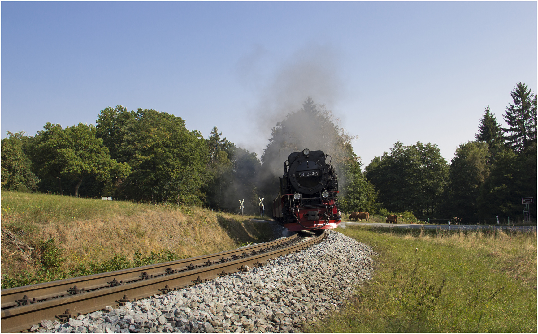 99 7243-1 Sternhaus Haferfeld (14.09.2016) #2