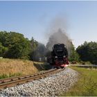 99 7243-1 Sternhaus Haferfeld (14.09.2016) #2