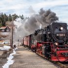 99 7245-6 im Bahnhof Sorge