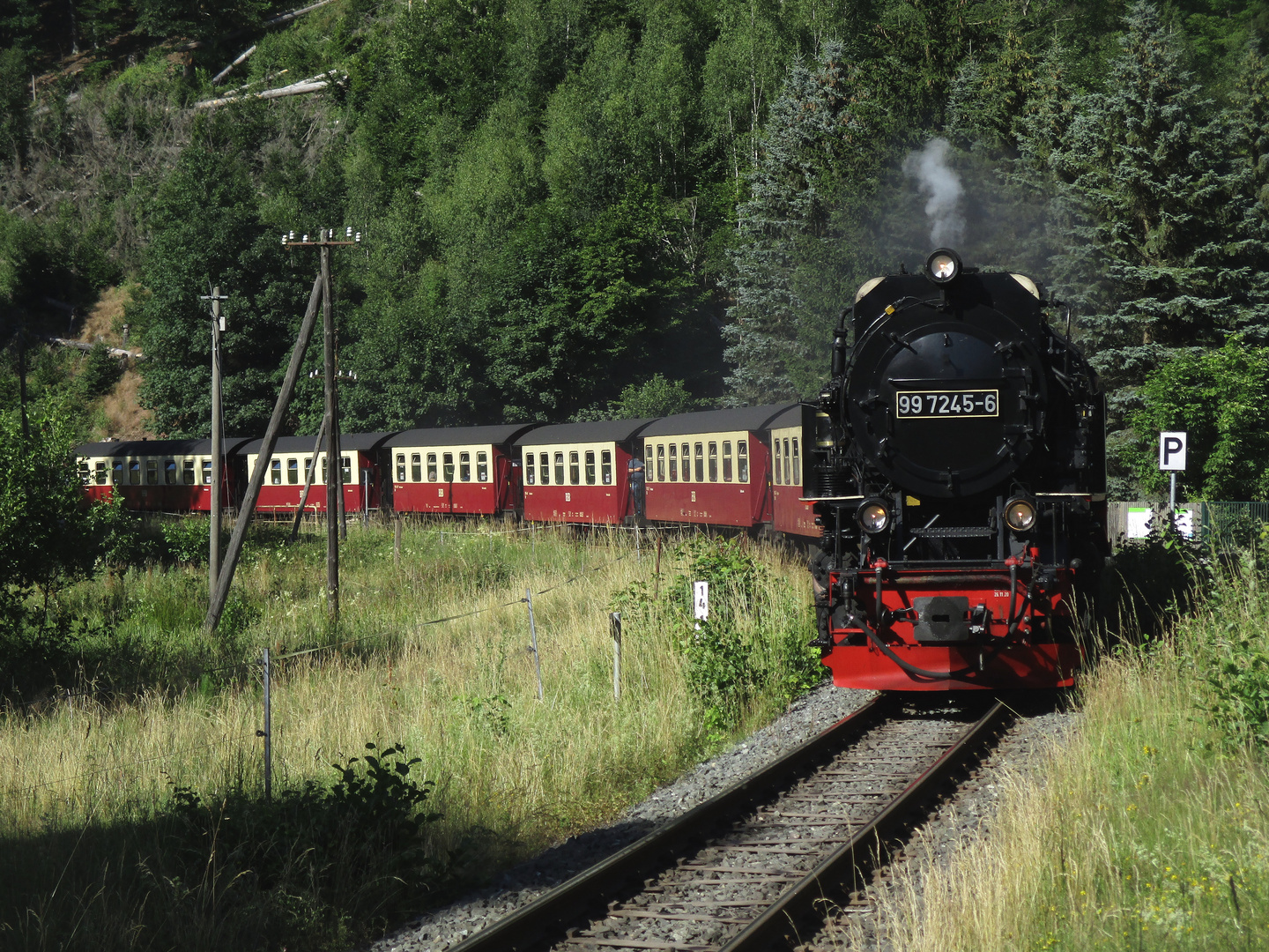 99 7245-6 in Netzkater.