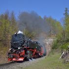 99 7247-2 am 21.04.19 am Turmkuhlen-Tunnel