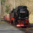 99 7247-2 in Eisfelder Talmühle 1.