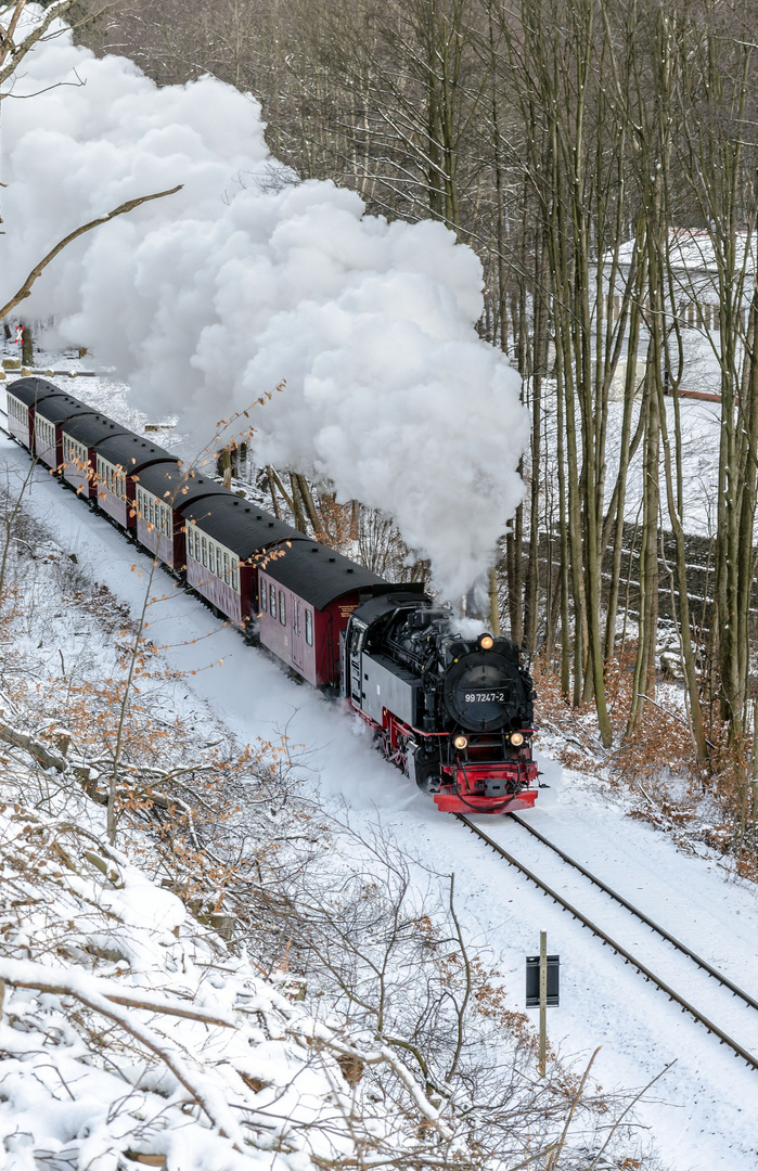 99 7247-2 kurz vor Steinerne Renne