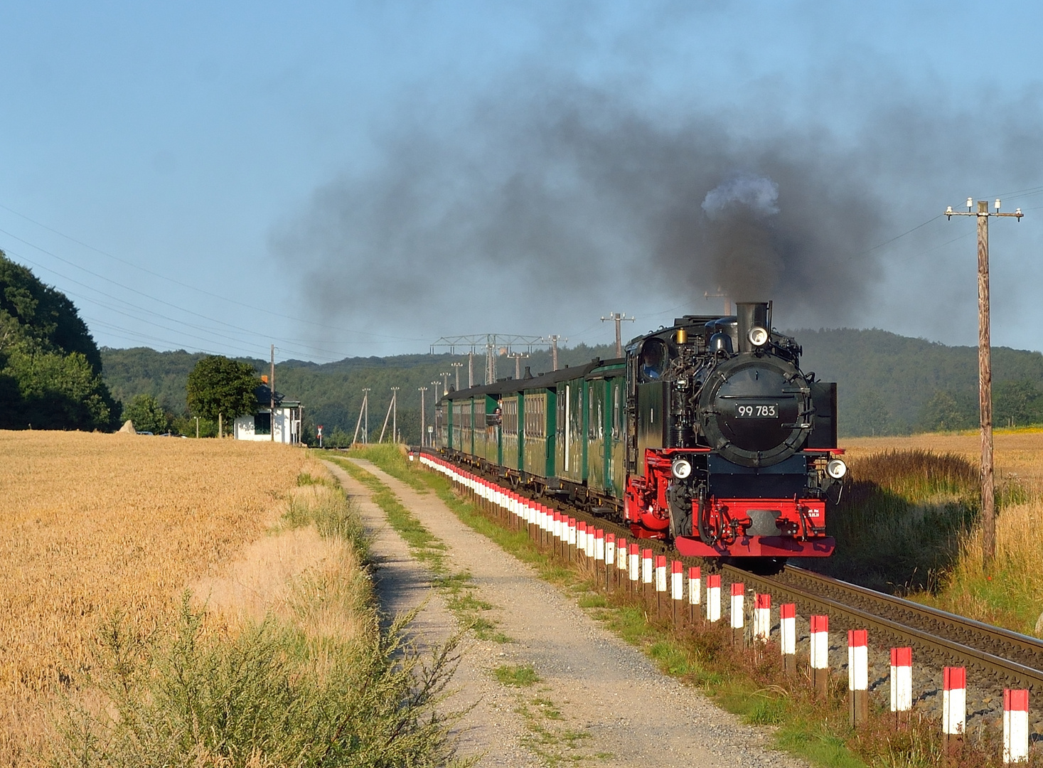 99 783 mit dem Rasenden Roland am 04.08.21 in Seelvitz