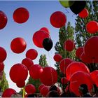 .... 99 Luftballons