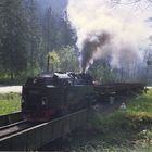 99 mit Güterzug,Ausfahrt Eisfelder Talmühle