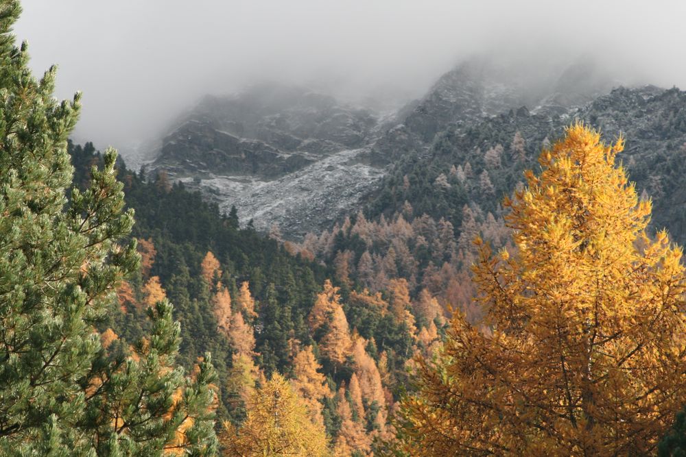 der winter schon in sichtweite von ana_lena 