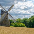 9930TZ Windmühle Eisbergen Porta Westfalica