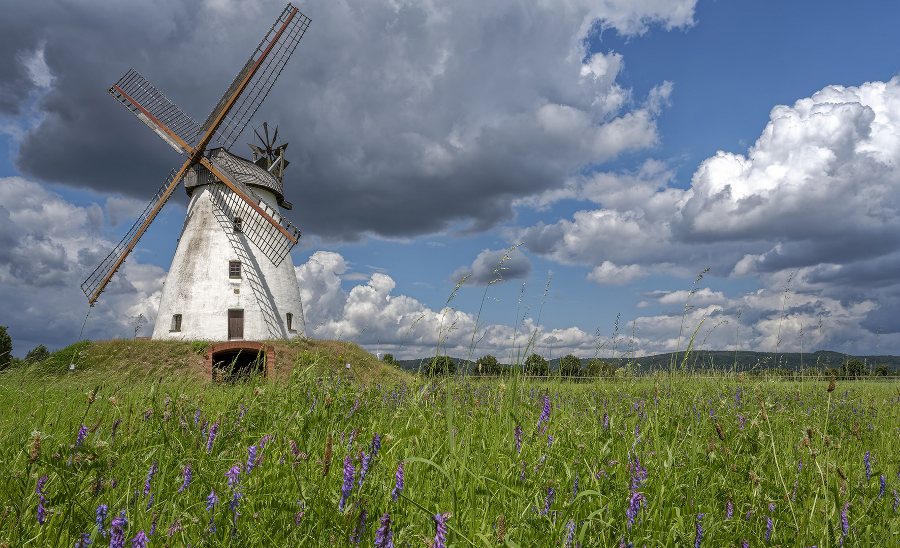 9944TZ Windmühle Veltheim in Wildblumenwiese