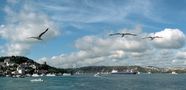 Bosphorus_2015_01 by Hakan Saracoglu 