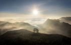 Frieden von Die Lichtweberin