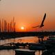 Sonnenuntergang am Hafen