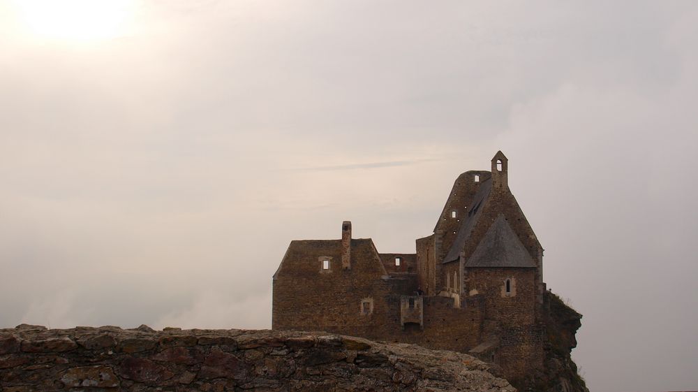 Burgruine Aggstein von Harald Römer