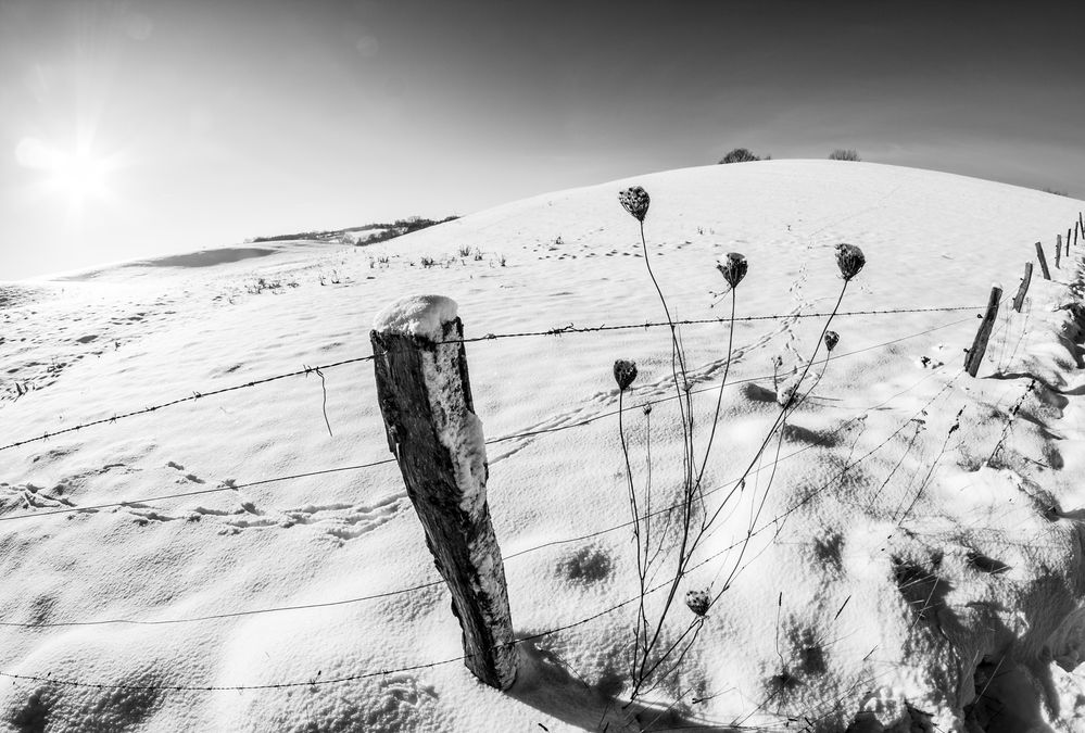 Fields of snow von Manja S. 