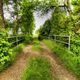 Brcke in die Natur