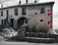 Red Poppies von FA_3G_plus_0