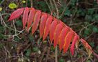 Farbe für den Wochenstart by tiedau-fotos