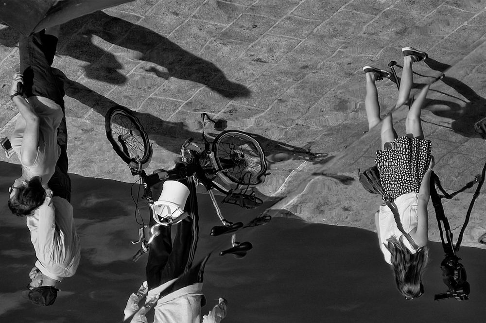 Le  vélo au plafond . de dominati simone