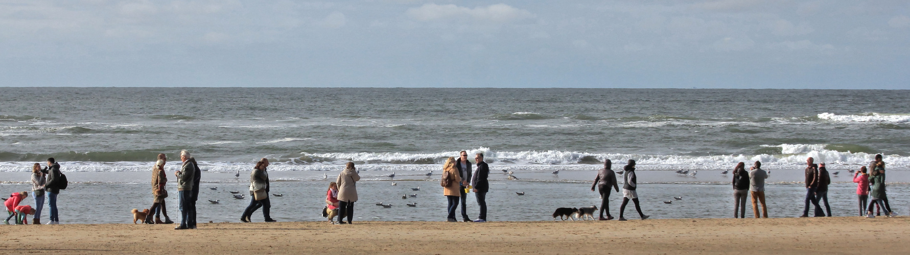 "Soziale Netzwerke" - ganz ohne Internet - am Nordseestrand von Ulrike Sobick