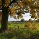 Herbstspaziergang bei Braunschweig-Schapen