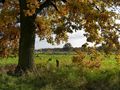 Herbstspaziergang bei Braunschweig-Schapen von Harald Meyer-Kirk 